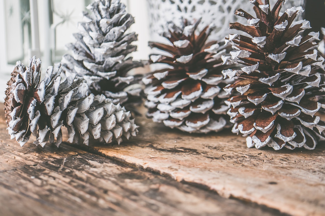 Pinecone painted decoration