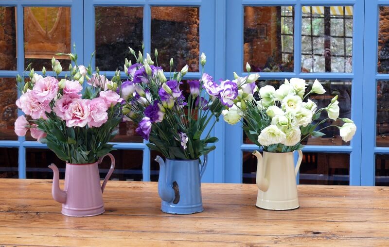 flower pots