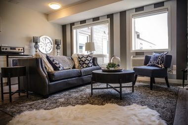 living room area rug