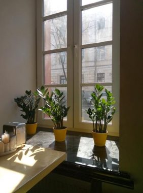 Well-installed window