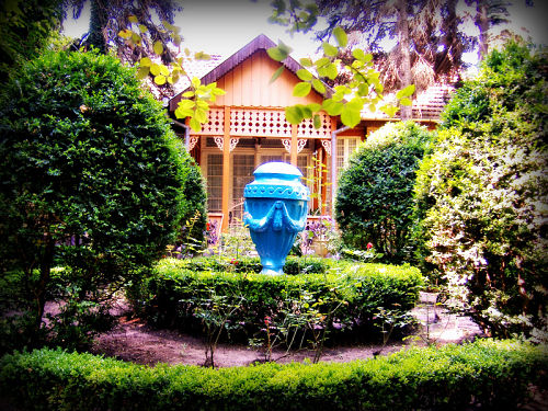 Garden ideas