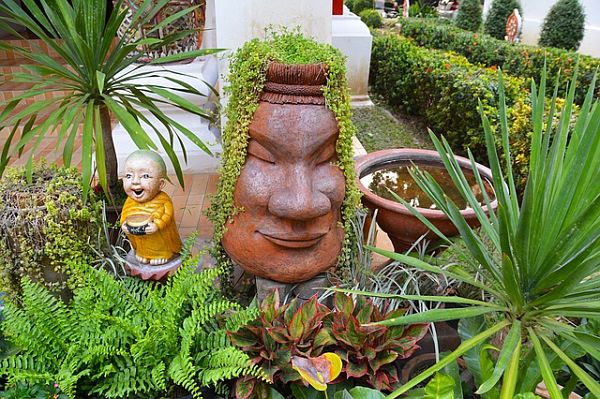 Potted plants