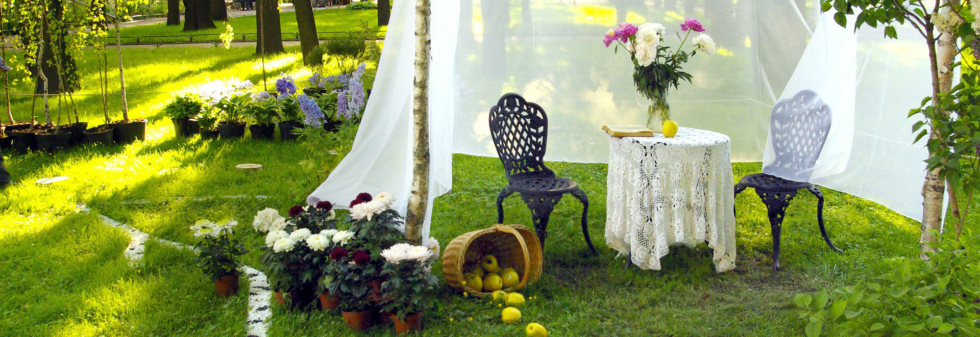 Backyard ideas