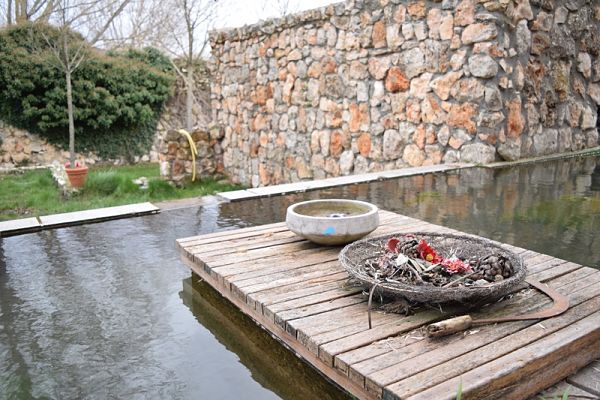 backyard pond