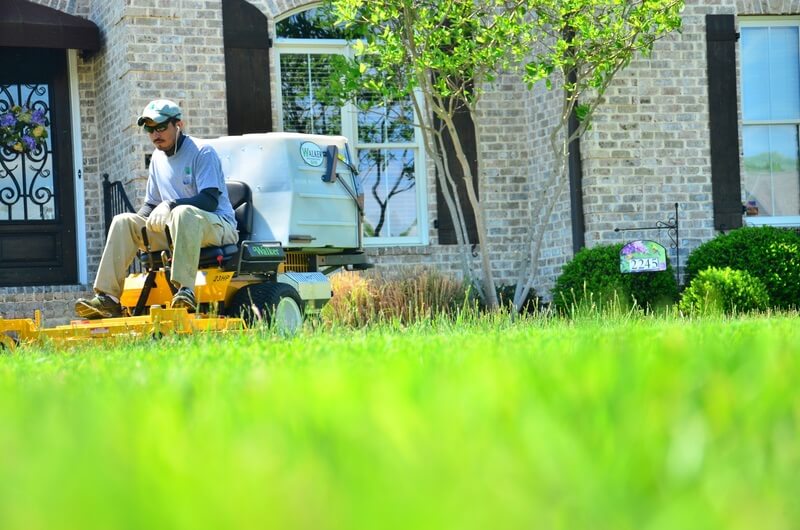 grass cutting services