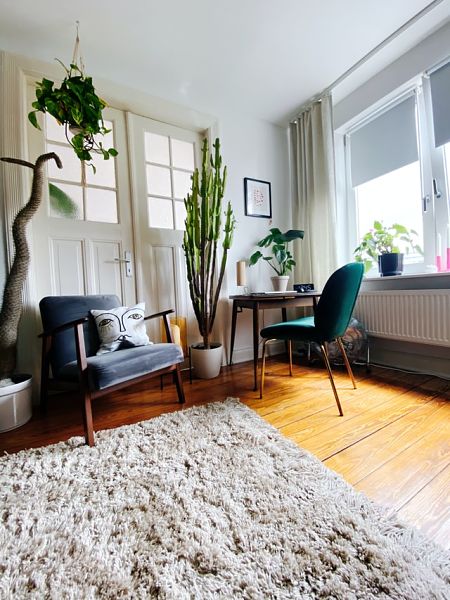 living room rug