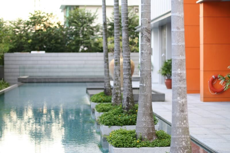 patio and pool