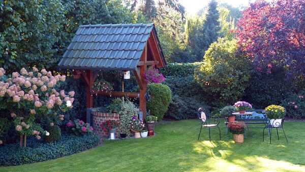 flower backyard