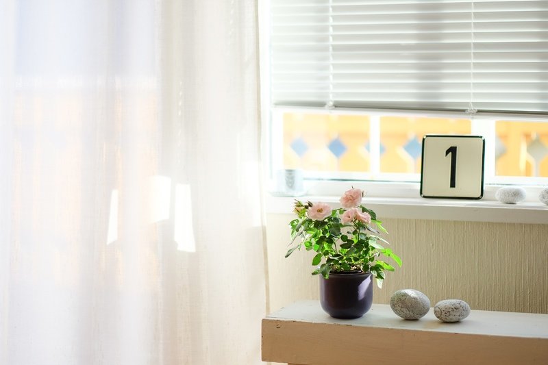 transparent curtain