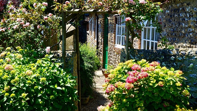 garden ideas