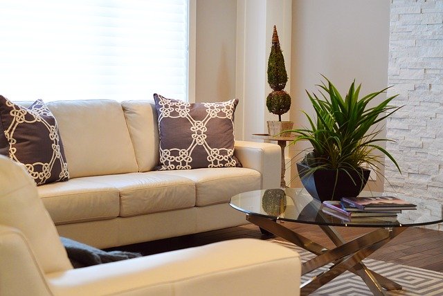 indoor plants