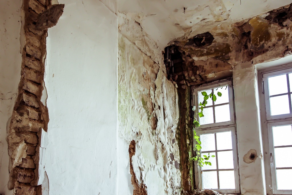 Destroyed wall by moisture
