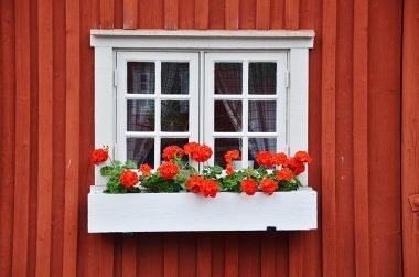 Wood window