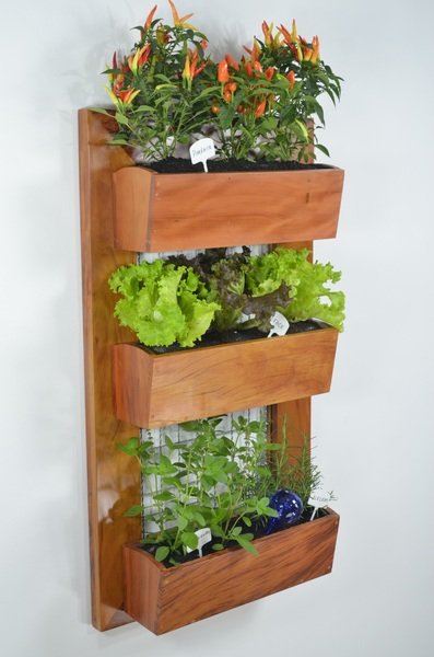 herb garden
