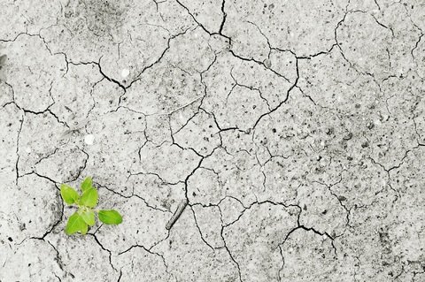 drought