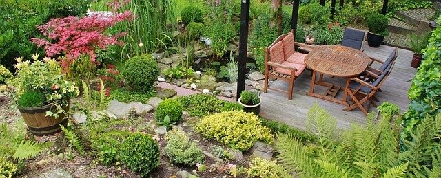 backyard design