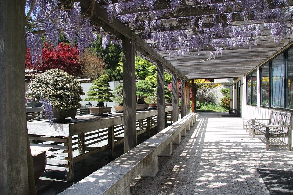 backyard pergola