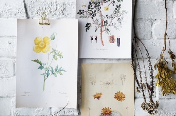 hanging flowers decor