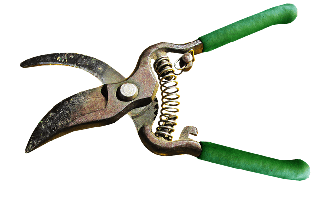 gardening tools
