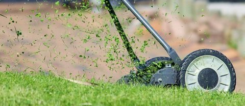 cutting grass