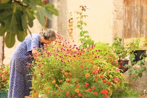 gardening ideas