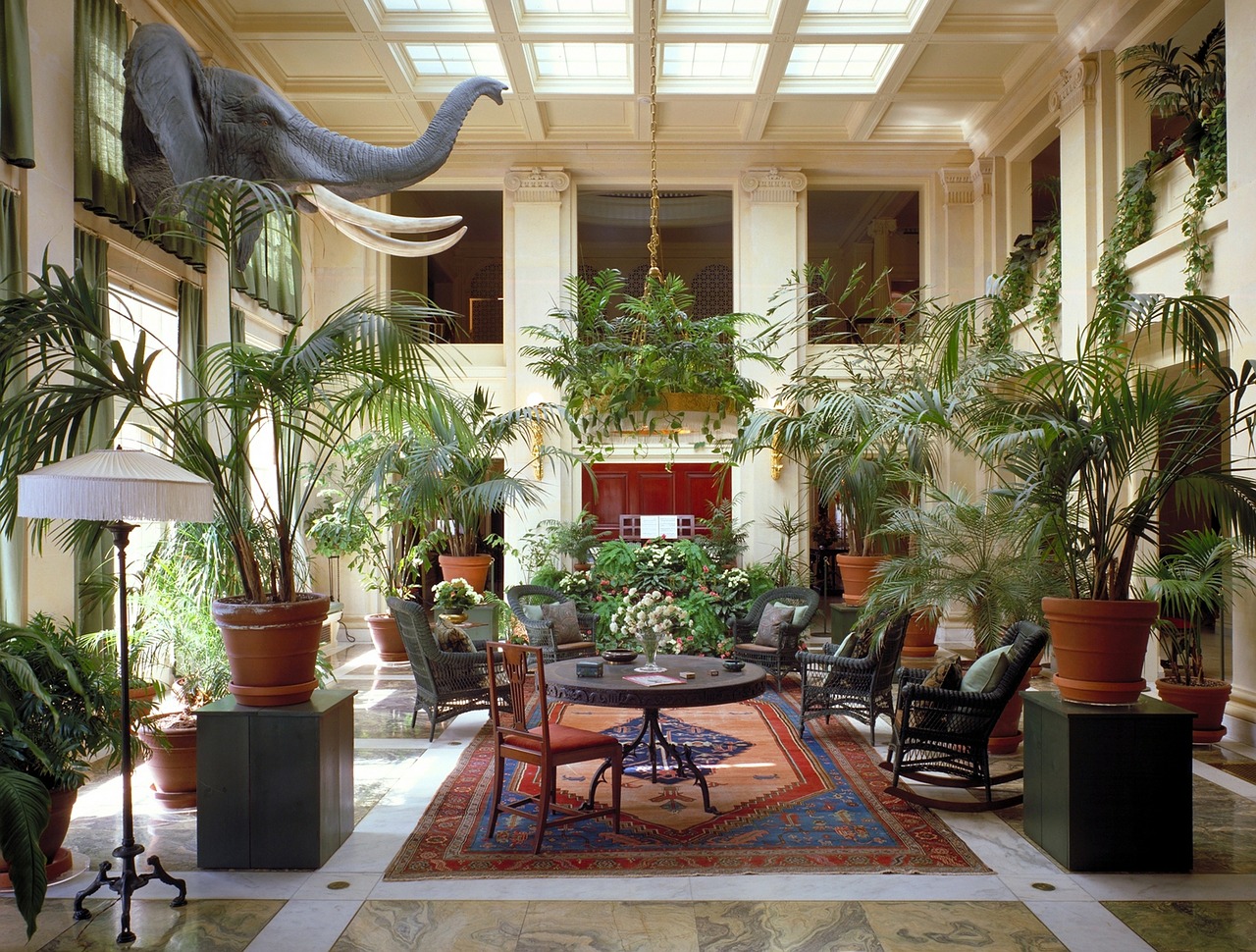 rug among plants