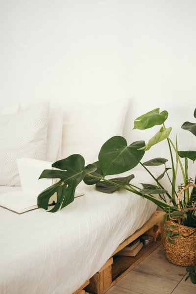 couch ideas