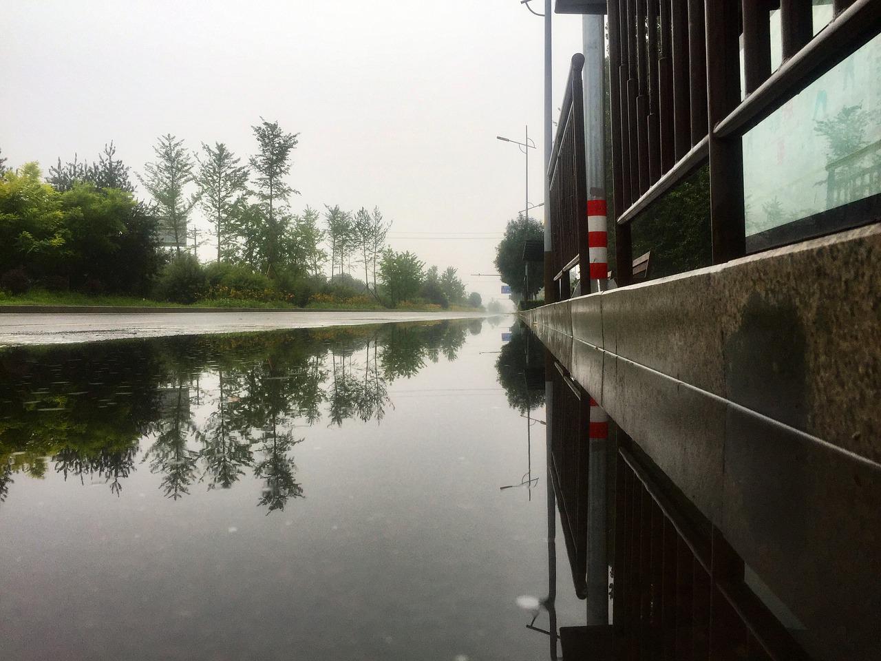 stagnant water