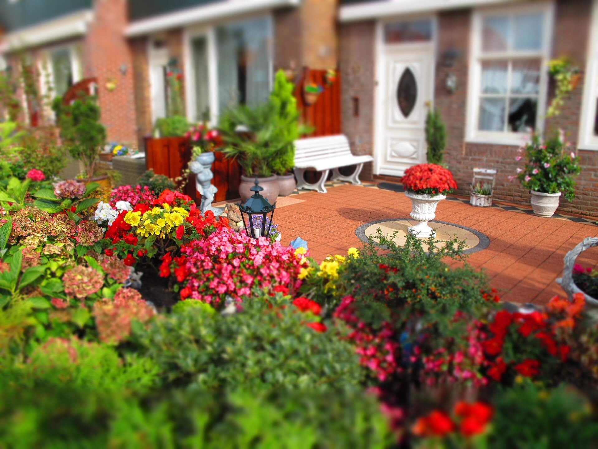 flower garden 