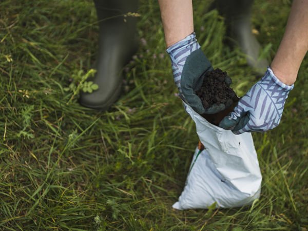 lawn fertilizer