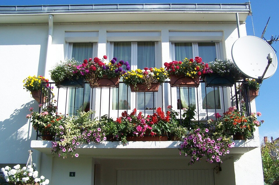 Flowers-Apartment-Balcony
