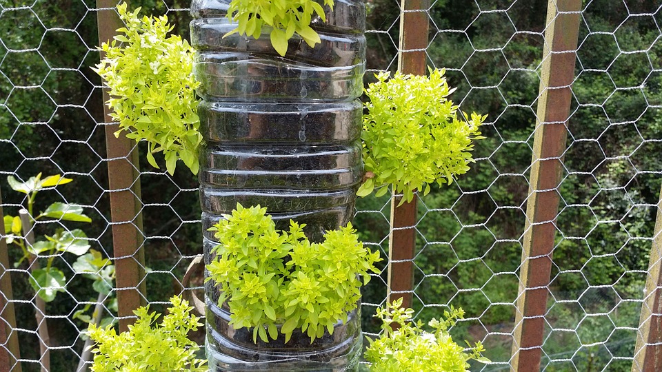 Vertical Gardening