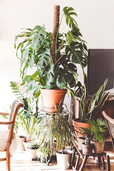 plant room divider