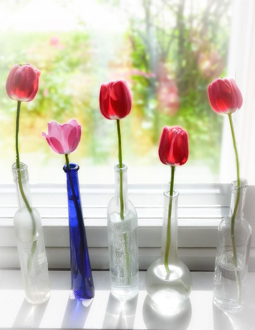 flowers in bottles