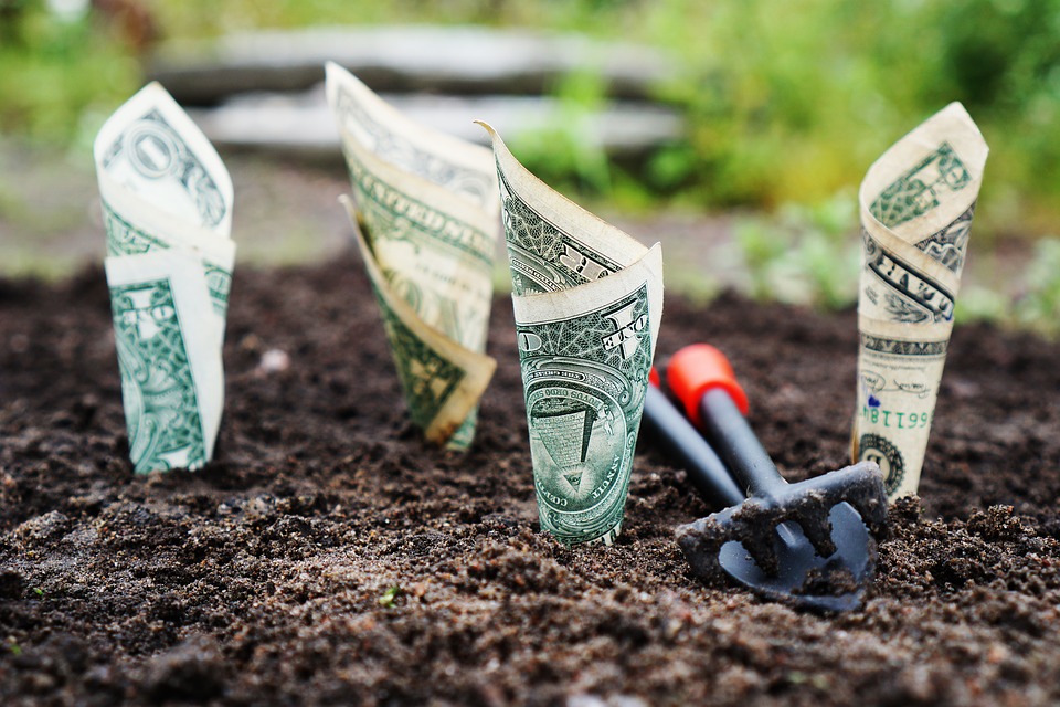 horizontal gardening is expensive