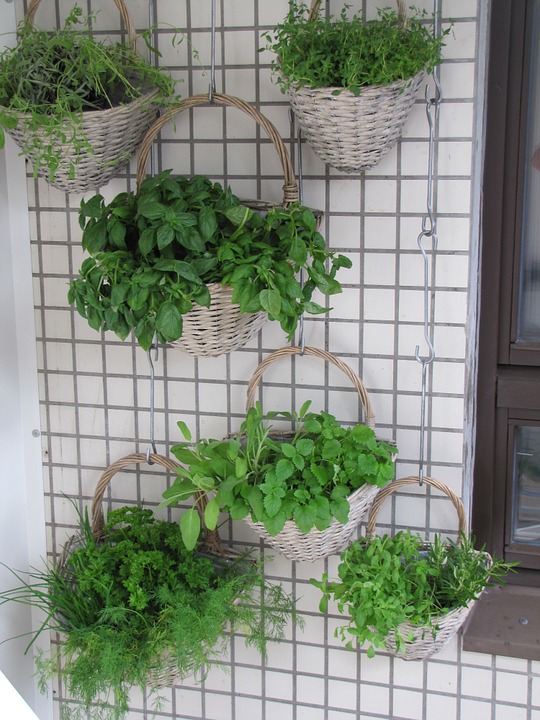 vertical planting
