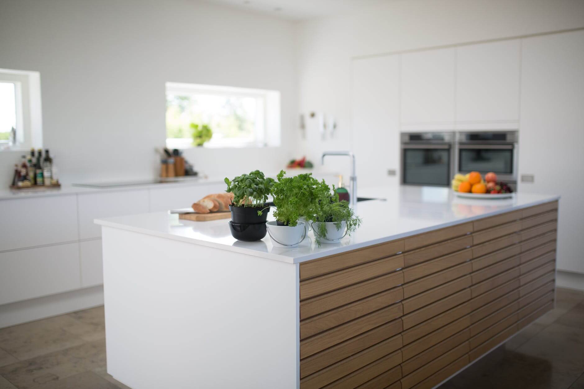 kitchen plants