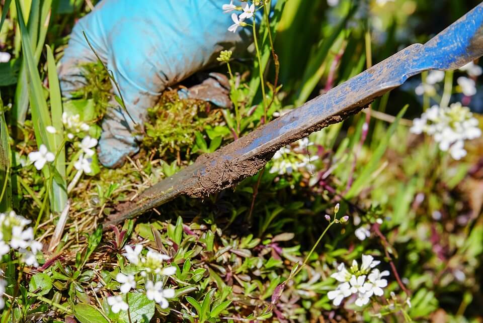 gardening