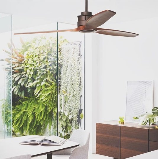 decorative ceiling fans