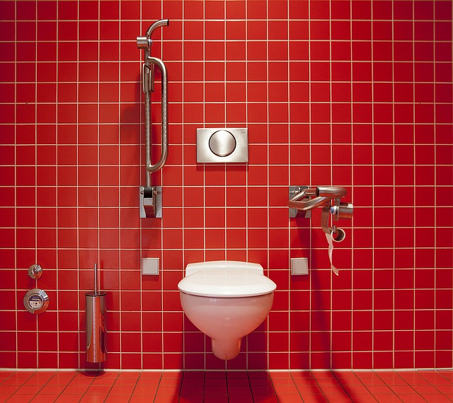 bathroom toilet