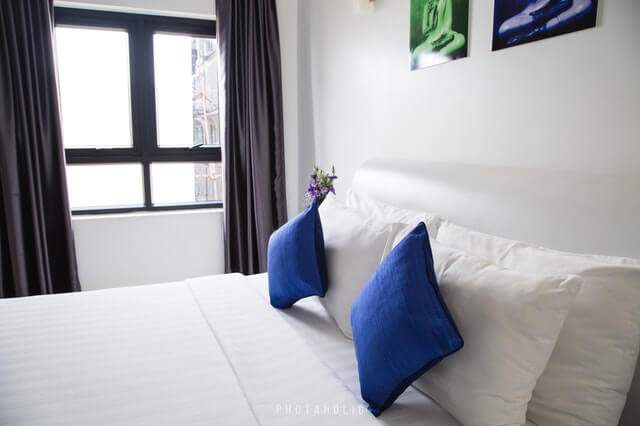window curtains