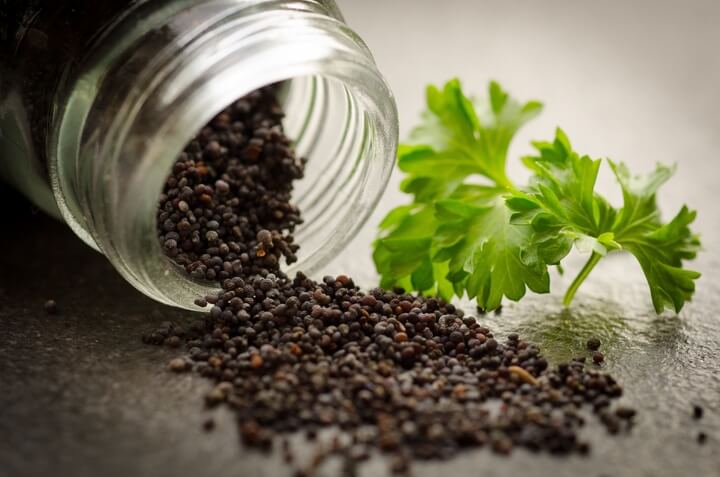 indoor herbs seeds