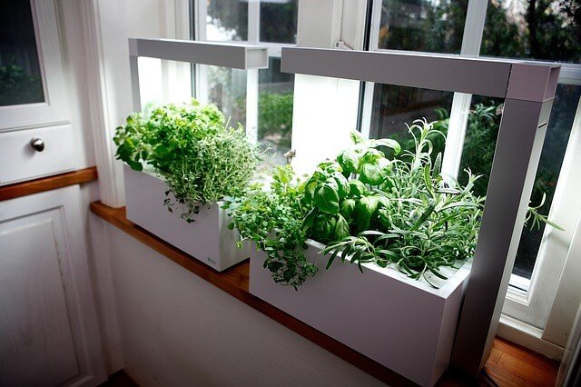 indoor plants containers