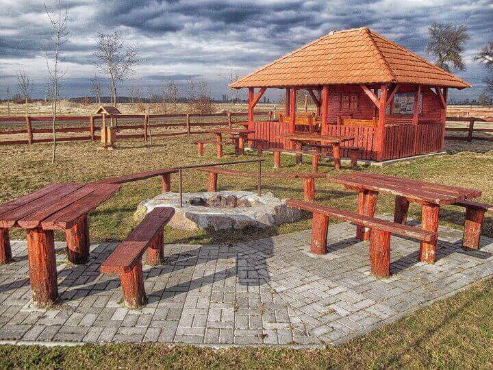 stone fire pit (2)