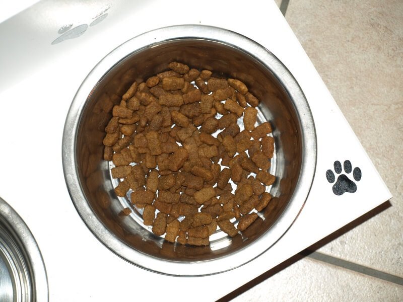 dog food bowl (1)