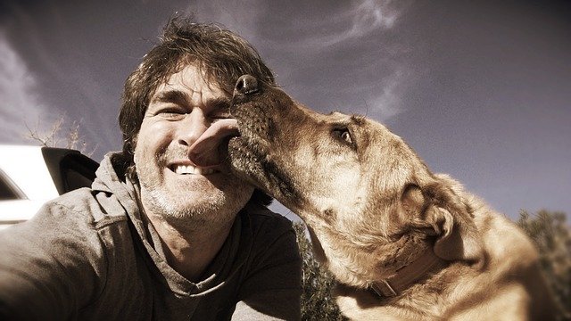 dog licking face