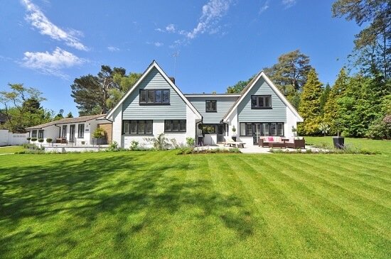 grass lawn