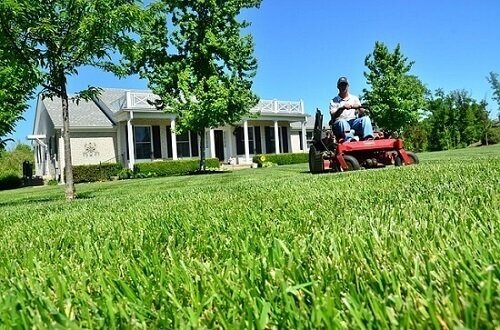 lawn care