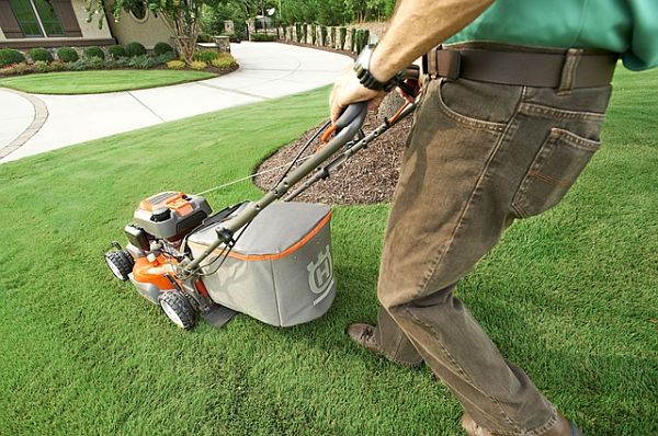 yard landscaping 