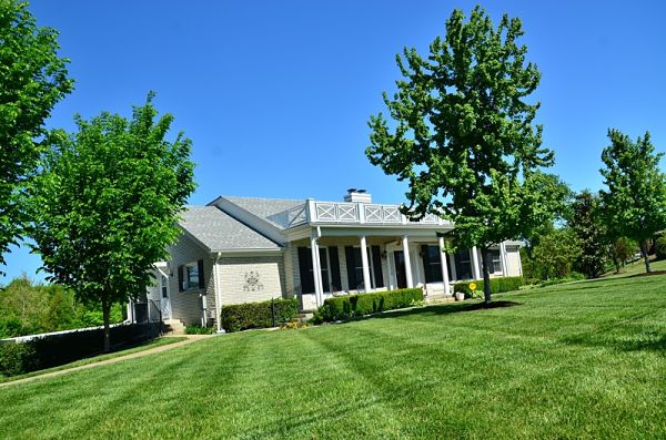 green lawn